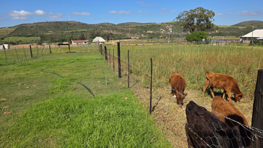 Commercial Property for Sale in Mossel Bay Rural Western Cape